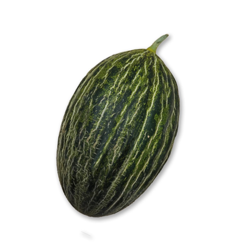 Svensk Melon odlad av odlare i Sverige